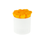 MEDIUM WHITE VELVET BOX WITH YELLOW PRESERVED ROSES