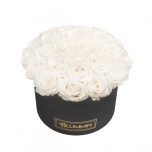 LARGE BOUQUET - BLACK BOX WITH WHITE PRESERVED ROSES