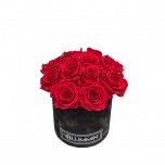 SMALL BOUQUET - BLACK VELVET BOX WITH RED PRESERVED ROSES