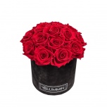 MEDIUM BOUQUET - BLACK VELVET BOX WITH RED PRESERVED ROSES