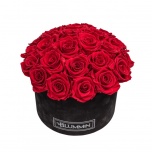 LARGE BOUQUET - BLACK VELVET BOX WITH RED PRESERVED ROSES