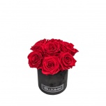 MIDI BOUQUET - BLACK VELVET BOX WITH WHITE PRESERVED ROSES