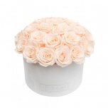 LARGE BOUQUET - WHITE VELVET BOX WITH ICE PINK PRESERVED ROSES