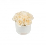MIDI BOUQUET - WHITE CERAMIC BOX WITH CHAMPAGNE PRESERVED ROSES