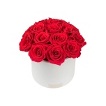 MEDIUM BOUQUET - WHITE CERAMIC BOX WITH RED PRESERVED ROSES