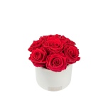 MIDI BOUQUET - WHITE CERAMIC BOX WITH RED PRESERVED ROSES