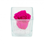 GLASS VASE WITH PRESERVED ROSE AND CRYSTALS - HOT PINK