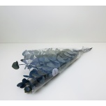 PRESERVED EUCALYPTUS - CINEREA