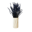 Untitled design-115-2.png